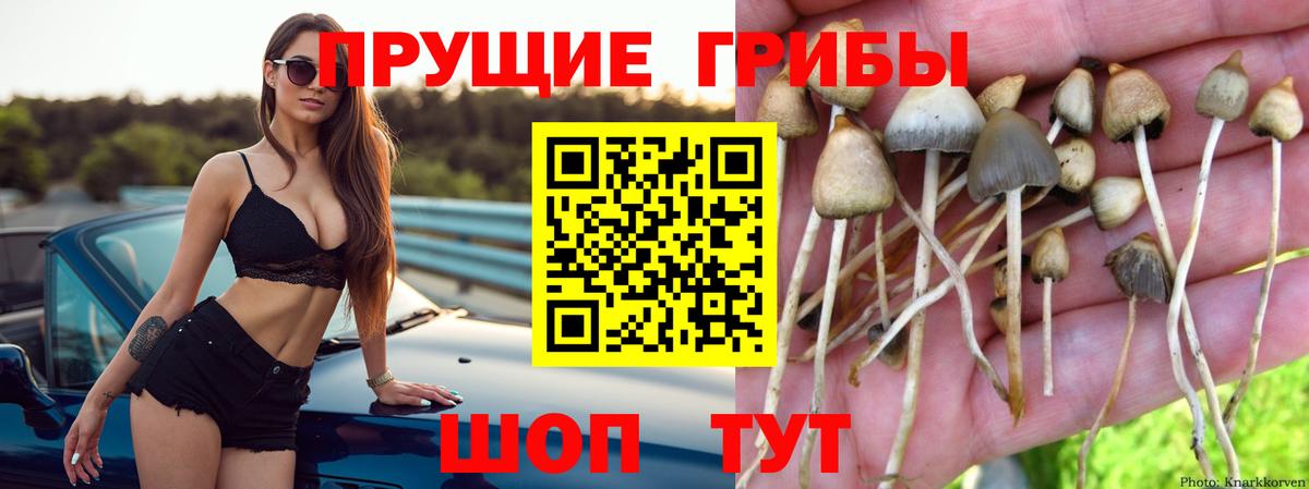 Псилоцибиновые грибы мухоморы Кировск